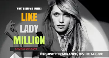 Lady Million Dupes: Similar Scents for Less
