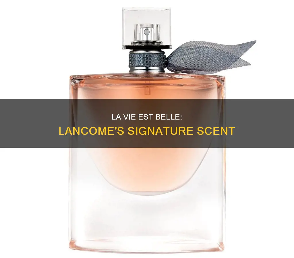 what perfume smells like lancome la vie est belle