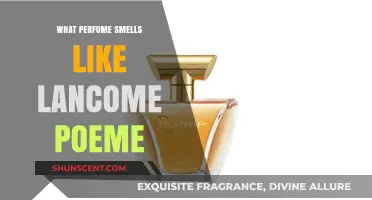 Similar Scents: Lancome Poeme and Its Perfume Cousins