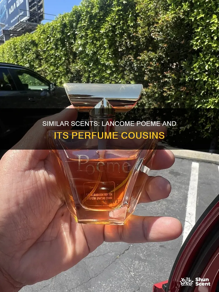 what perfume smells like lancome poeme