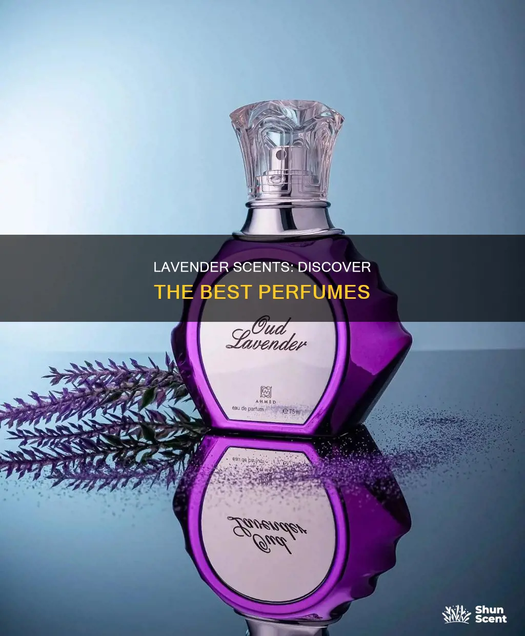what perfume smells like lavender
