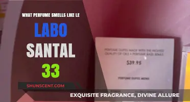 Le Labo Santal 33 Dupes: Similar Scents, Different Prices