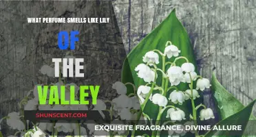 Lily of the Valley Scents: Fresh, Feminine Fragrances