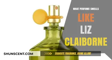 Discovering Scents Similar to Liz Claiborne Perfumes
