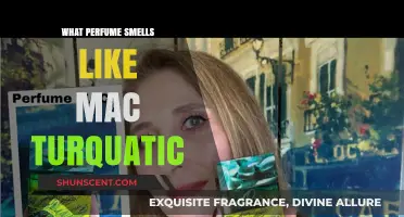 Turquatic Scents: Discovering Fragrances Similar to MAC's Iconic Scent