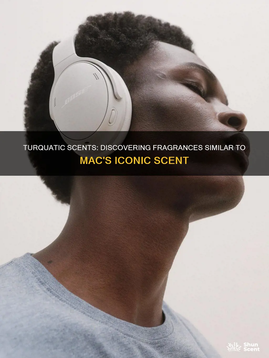 what perfume smells like mac turquatic