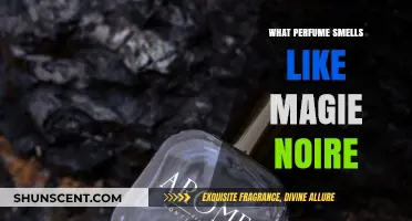 Discover Magie Noire's Perfume Cousins