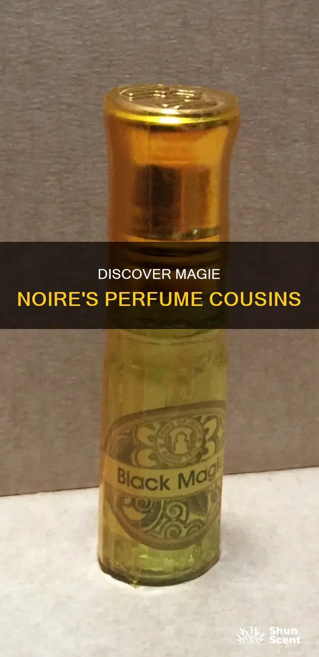 what perfume smells like magie noire