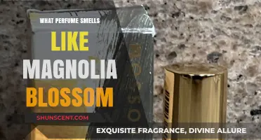 Magnolia Blossom Scents: Top Perfumes for Women