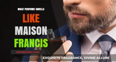 Maison Francis Duplicity: Unveiling the Scent's Secrets