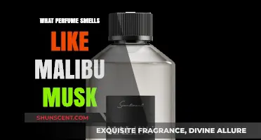 Malibu Musk: Discover the Scent of Summer