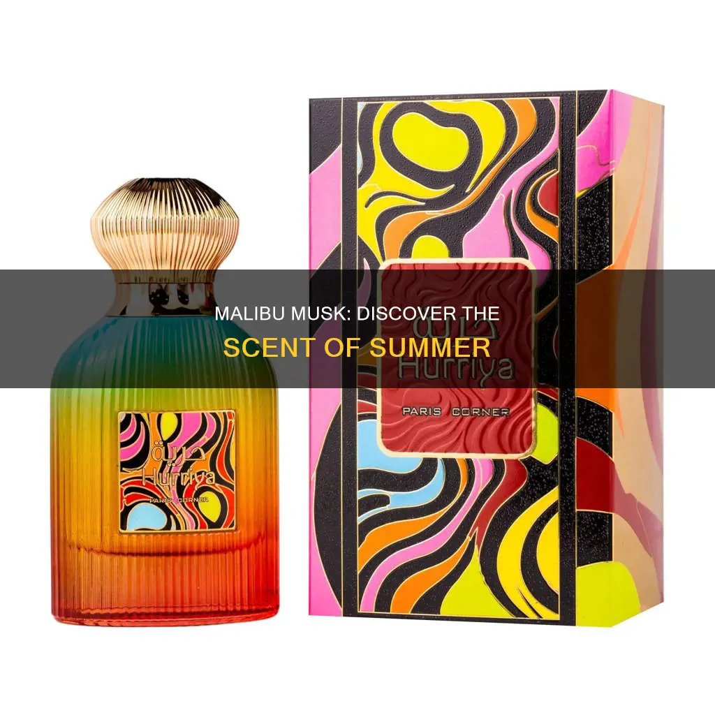 what perfume smells like malibu musk
