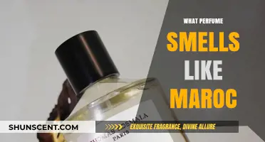 Explore the Magical Scents of Maroc