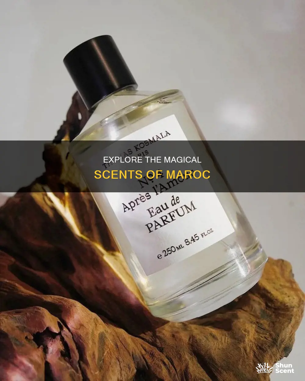 what perfume smells like maroc