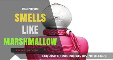 Marshmallow-Scented Perfumes: Sweet, Sugary, and Delicious