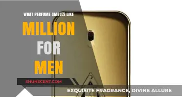 Luxurious Scents: Million-Dollar Fragrances for Men