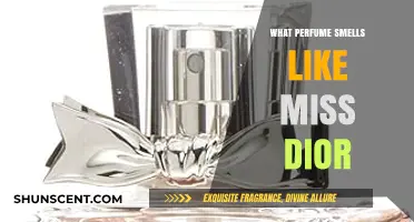 Similar Scents to Miss Dior and Why They're Worth Trying