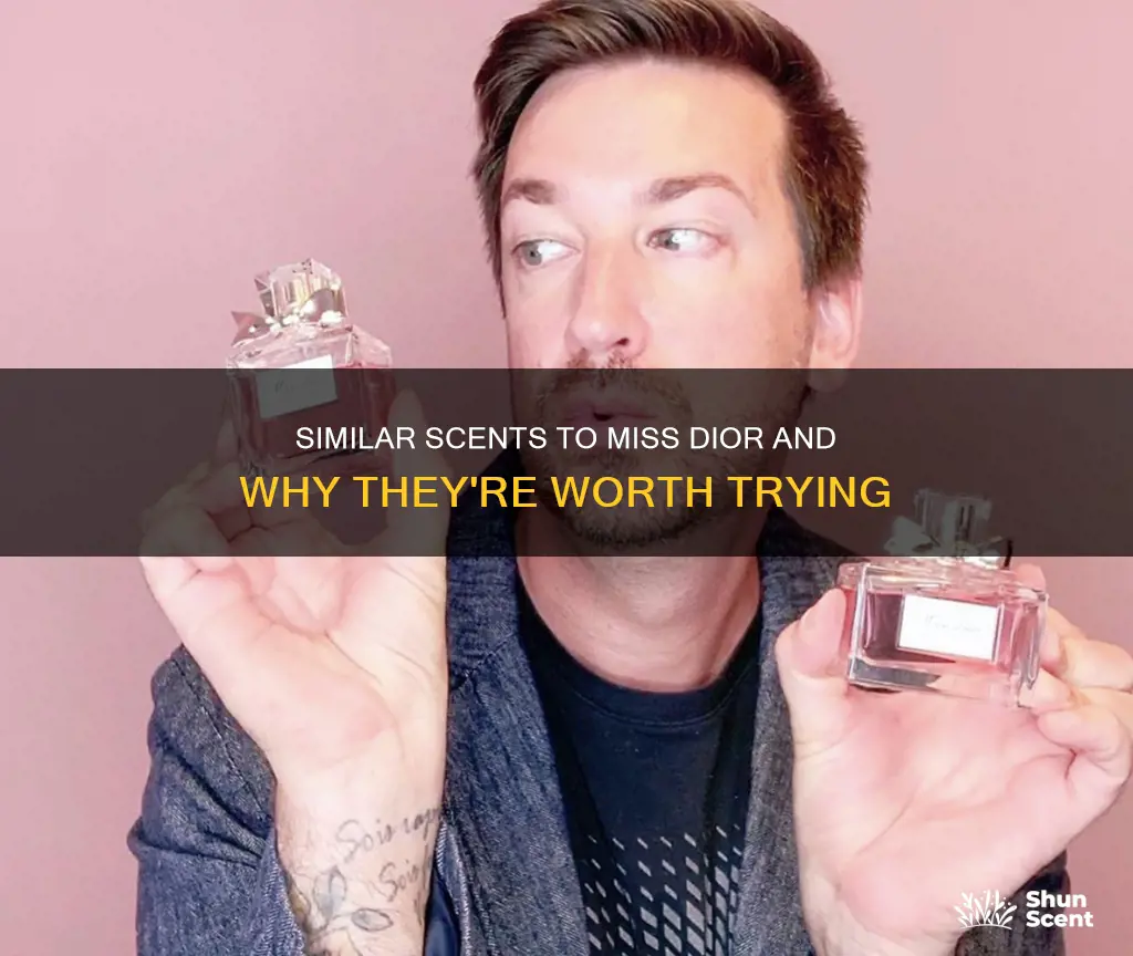 what perfume smells like miss dior