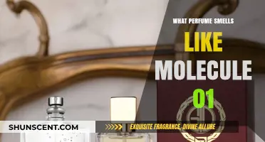 Perfumes That Resemble the Iconic Aroma of Molecule 01