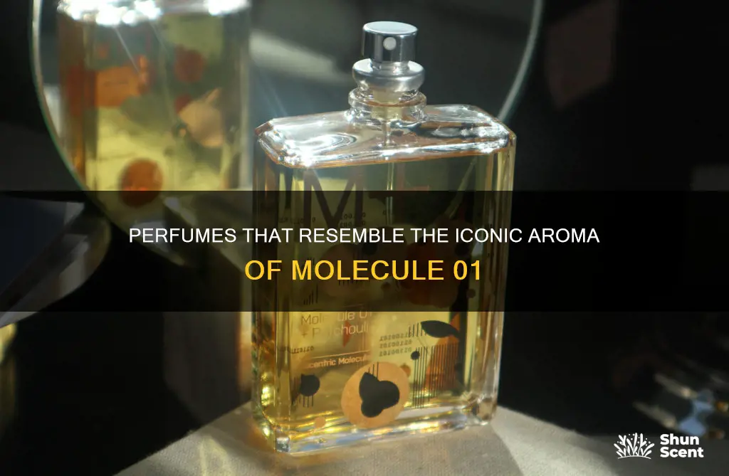 what perfume smells like molecule 01