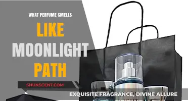 Moonlight Path: Discovering Perfumes with Ethereal Notes