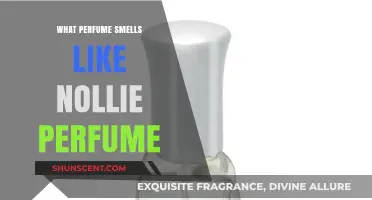 Explore Scents That Resemble Nollie Perfume