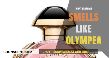 Similar Scents to Olympea: A Guide to Alternatives