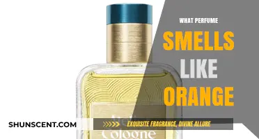 Best Orange-Scented Perfumes for a Citrusy Freshness
