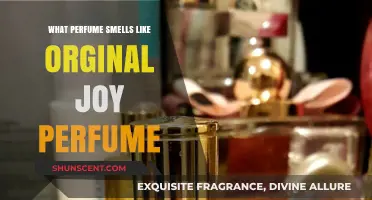 Find the Original Joy Perfume's Scent in These Fragrances