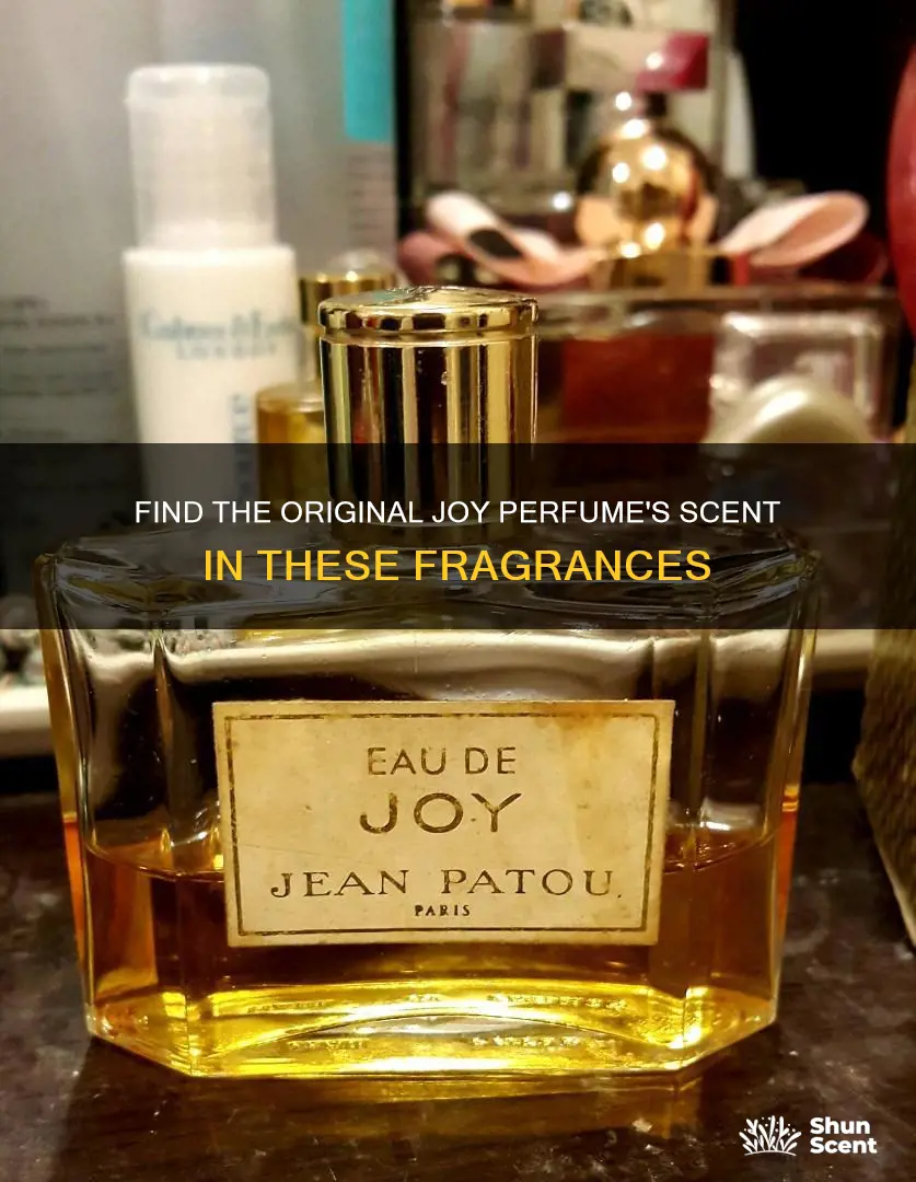 what perfume smells like orginal joy perfume