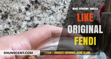 Fendi Fragrances: The Original and Its Variants