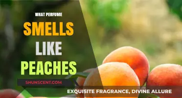 Peach Perfumes: The Sweetest Scents for Women