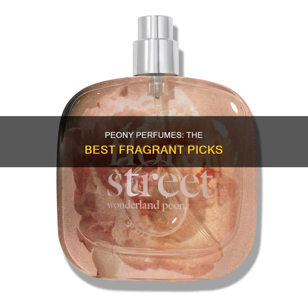 what perfume smells like peonies