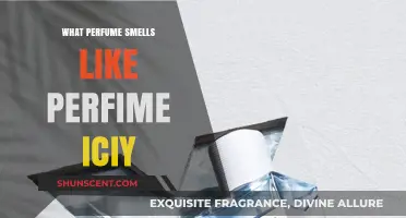 Perfume Secrets: Icy Scents and Their Magic