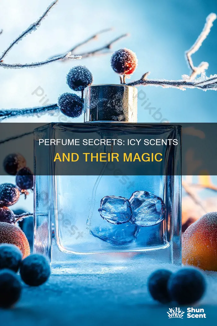 what perfume smells like perfime iciy