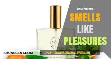 Discover the Scents of Pleasures: Perfume Guide