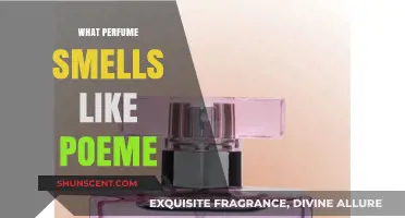Poème Perfume: Discover Scents With Similar Notes