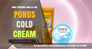 The Scent of Nostalgia: Pond's Cold Cream in Perfume Form