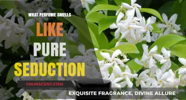 Explore Seductive Scents: Discover the Art of Perfume