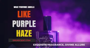 Discover Purple Haze Scents: Fragrances That Match the Color