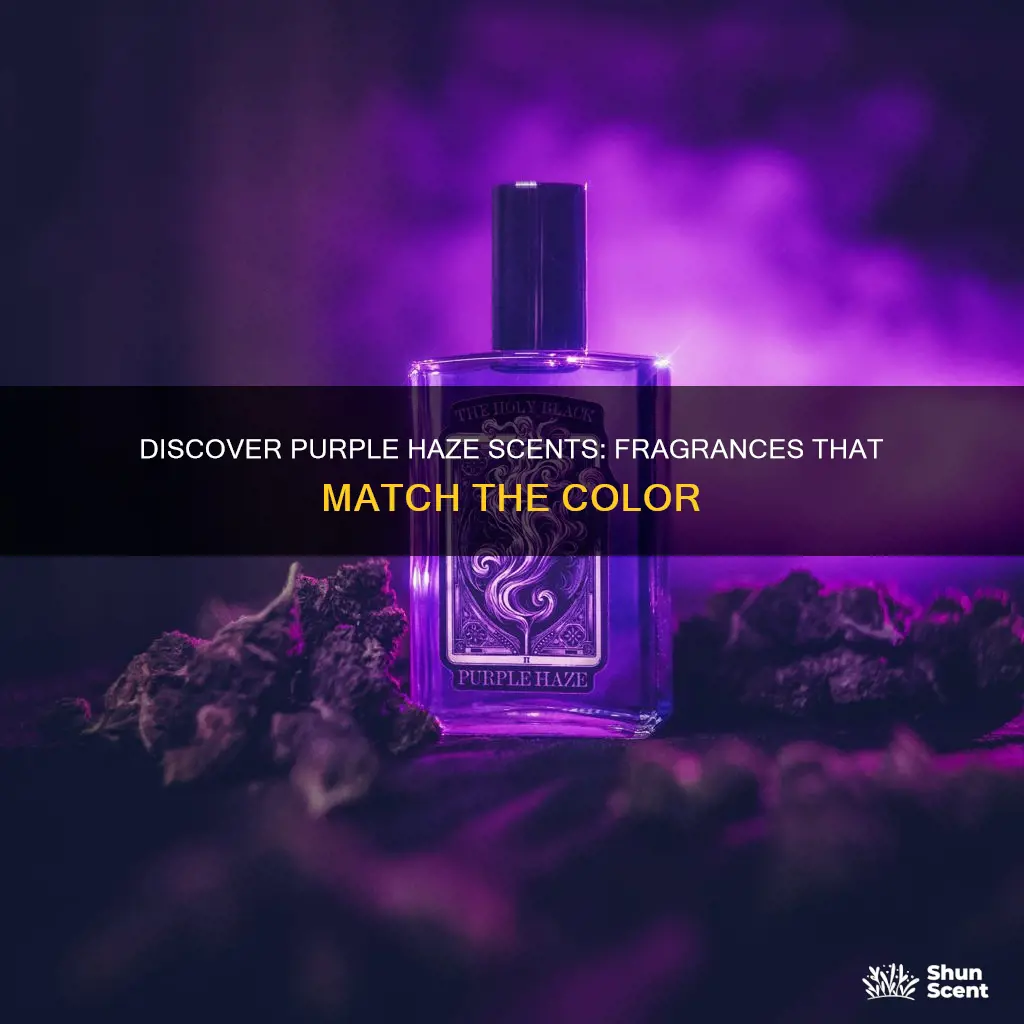 what perfume smells like purple haze