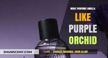 Discover Purple Orchid Fragrances: A Sensory Journey