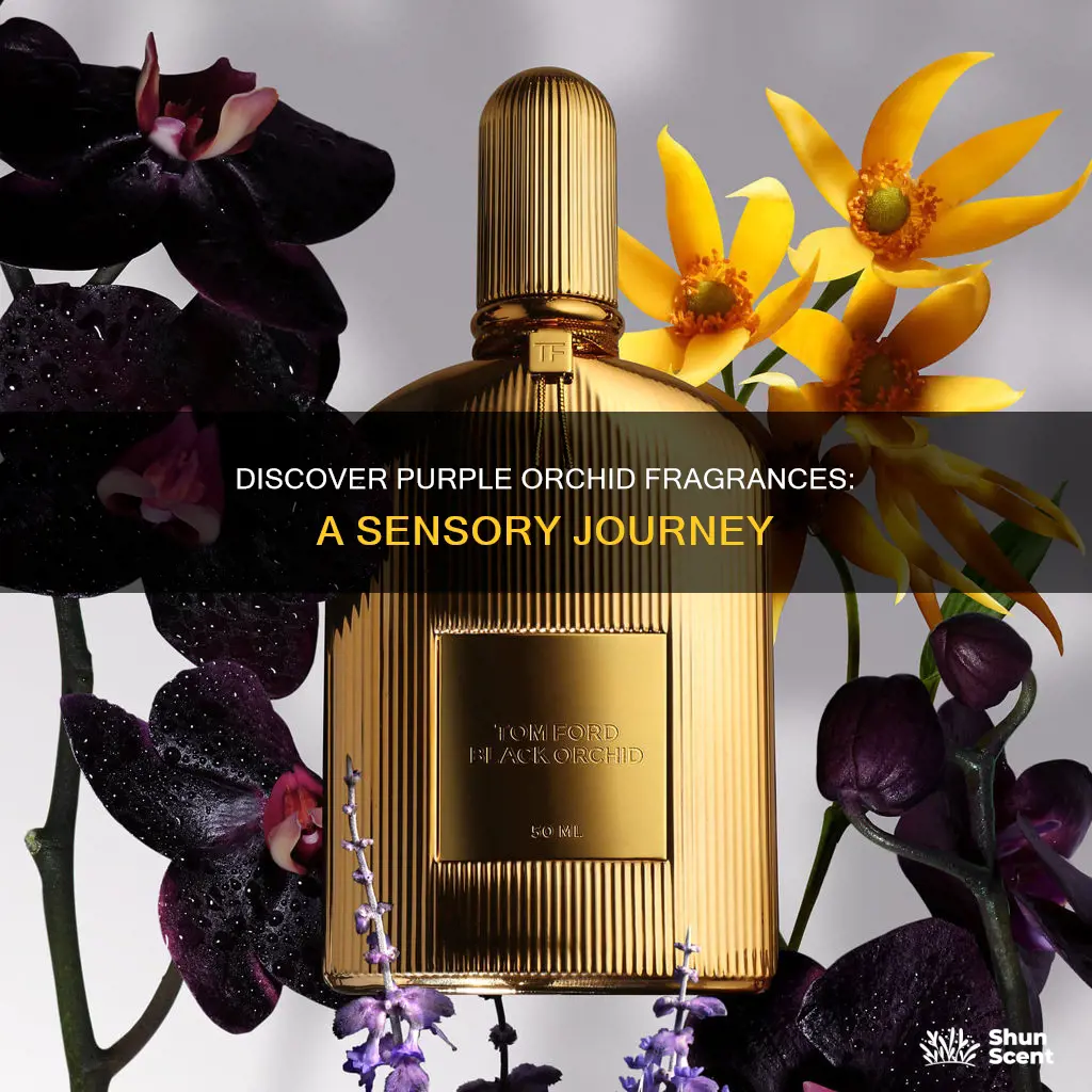 what perfume smells like purple orchid