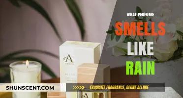 Fresh Scents: Discovering Rain-Inspired Fragrances