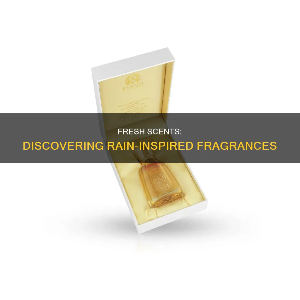 what perfume smells like rain