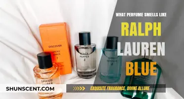 Discovering the Scent of Ralph Lauren Blue