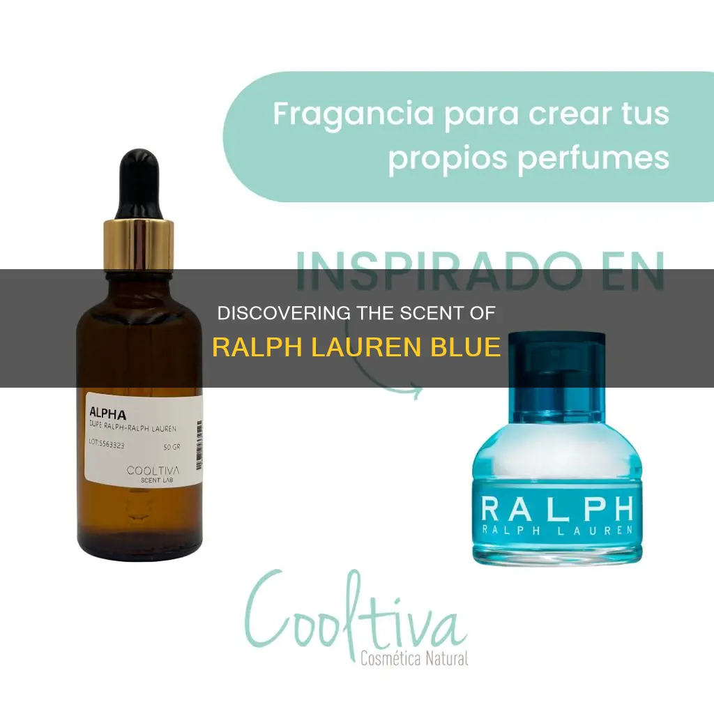 what perfume smells like ralph lauren blue