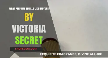 Rapture-like Scents: Perfumes Similar to Victoria Secret's Classic