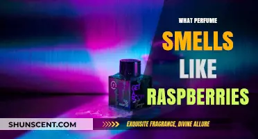 Raspberry-Scented Perfumes: A Guide to Fruity Fragrances