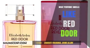 Discover the Scents of Red Door Perfumes